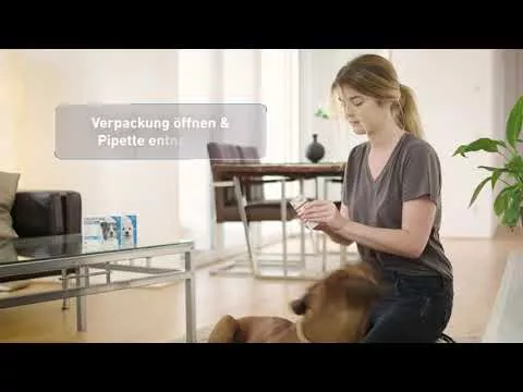 Vidéo sur FRONTLINE Spot sur K solution pour chats, 6 pc