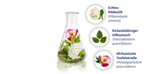 GELENCIUM Mélange arthro, 2X100 ml