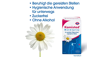 KAMISTAD Spray buccal, 20 ml