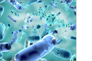 PROBIELLE Gélules immunitaires, 90 gélules