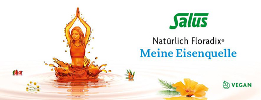 FLORADIX Tonique végétalien au fer plus B12, 250 ml