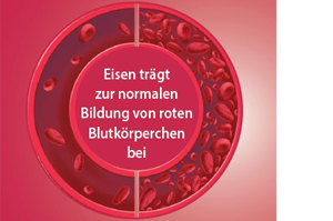 EISEN DIREKT plus Poudre de vitamine C+acide folique+B12, 60 pièces