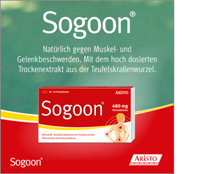 SOGOON 480 mg Comprimés pelliculés, 200 pcs
