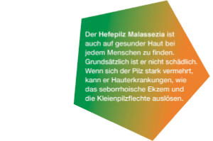 KETOZOLIN Shampooing 2%, 60 ml
