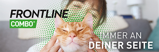 FRONTLINE Combo Spot on Lait pour application cutanée pour chats, 6pcs