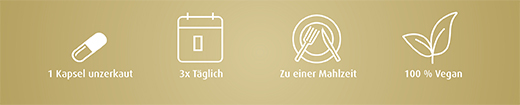 DAMIANA KAPSELN 450 mg d'extrait de feuilles 5:1, 100 pc