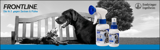 FRONTLINE Spray pour chiens/chats, 250 ml