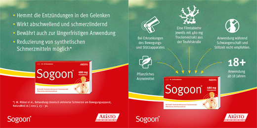 SOGOON 480 mg Comprimés pelliculés, 200 pcs