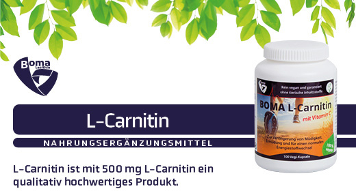 L-CARNITIN 500 gélules, 100 pcs
