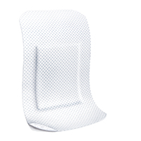 LEUKOPLAST Soft white pansement strips 38x72 mm, 10 pces