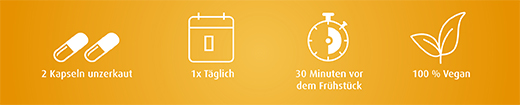 ALPHA LIPONSÄURE Gélules de 300 mg, 90 gélules