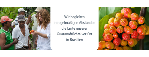 GUARANA POUDRE, 100 g