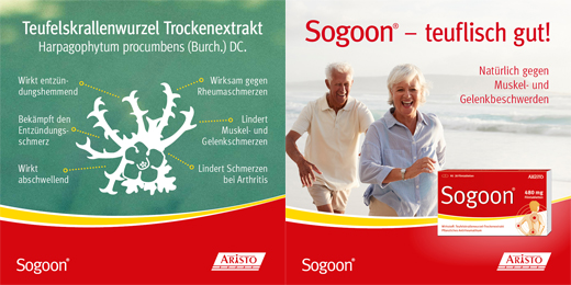 SOGOON 480 mg Comprimés pelliculés, 200 pcs