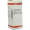 CORIANDRUM teinture mère sativum D 1, 50 ml