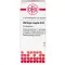 USTILAGO MAYDIS D 12 globules, 10 g