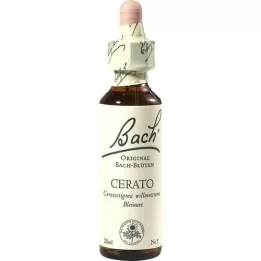BACHBLÜTEN Cerato gouttes, 20 ml