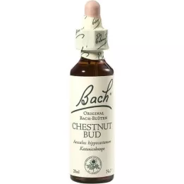 BACHBLÜTEN Gouttes de bourgeon de châtaignier, 20 ml