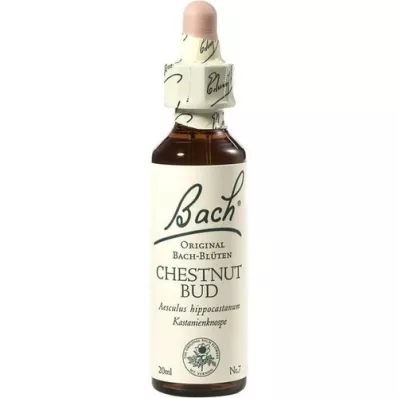 BACHBLÜTEN Gouttes de bourgeon de châtaignier, 20 ml BACHBLÜTEN Gouttes de bourgeon de châtaignier, 20 ml