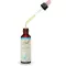 BACHBLÜTEN Gouttes de chicorée, 20 ml