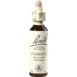 BACHBLÜTEN Clématite en gouttes, 20 ml
