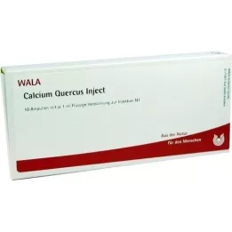 CALCIUM QUERCUS Injecter des ampoules, 10X1 ml