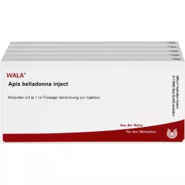 APIS BELLADONNA Injecter des ampoules, 50X1 ml
