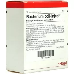 BACTERIUM COLI Ampoules Injeel, 10 pc