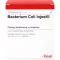 BACTERIUM COLI Ampoules Injeel, 10 pc