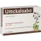 UMCKALOABO Comprimés pelliculés à 20 mg, 60 pc