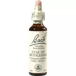 BACHBLÜTEN Gouttes Étoile de Bethléem, 20 ml