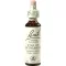 BACHBLÜTEN Gouttes Étoile de Bethléem, 20 ml