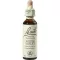 BACHBLÜTEN Gouttes de violette deau, 20 ml