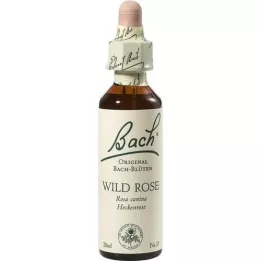 BACHBLÜTEN Gouttes de rose sauvage, 20 ml