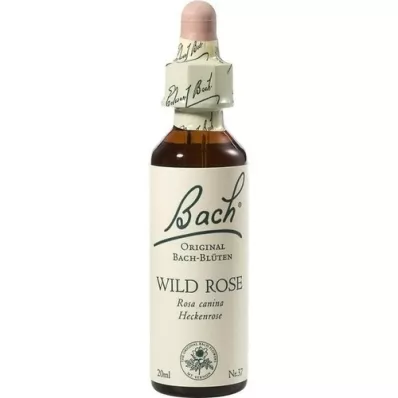 BACHBLÜTEN Gouttes de rose sauvage, 20 ml BACHBLÜTEN Gouttes de rose sauvage, 20 ml