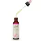 BACHBLÜTEN Gouttes de saule, 20 ml