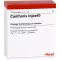 CANTHARIS INJEEL Ampoules, 10 pc