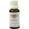 CERES Teinture mère dabsinthium, 20 ml
