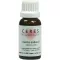 CERES Teinture mère Avena sativa, 20 ml