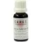 CERES Teinture mère Dipsacus fullonum, 20 ml