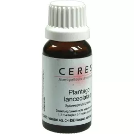 CERES Teinture mère Plantago lanceolata, 20 ml