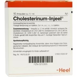 CHOLESTERINUM INJEEL Ampoules, 10 pc