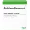 CIMICIFUGA HOMACCORD Ampoules, 10 pc