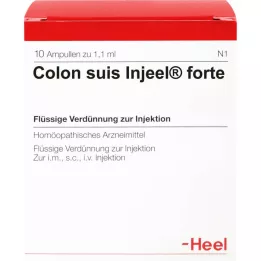 COLON SUIS Ampoules Injeel Forte, 10 pc
