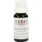 CERES Teinture mère de Sambucus nigra, 20 ml