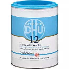 BIOCHEMIE DHU 12 comprimés de calcium sulfuricum D 6, 1000 pièces