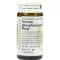 FERRUM PHOSPHORICUM Globules S Phcp, 20 g