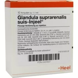 GLANDULA SUPRARENALIS Suis Injeel Ampoules, 10 pc