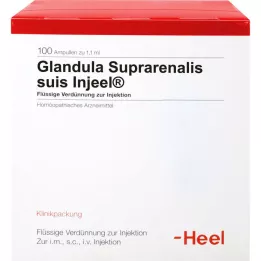 GLANDULA SUPRARENALIS Suis Injeel Ampoules, 100 pc