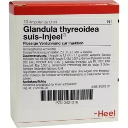 GLANDULA THYREOIDEA Suis Injeel Ampoules, 10 pc
