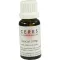 CERES Daucus comp. gouttes, 20 ml